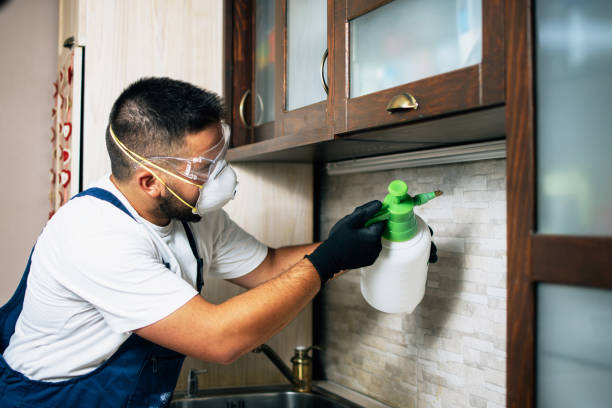 Best Rat Extermination Near Me  in Winchester, MO