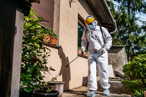 Best Cockroach Control Services  in Winchester, MO