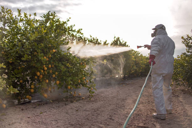 Best Pest Control Near Me  in Winchester, MO