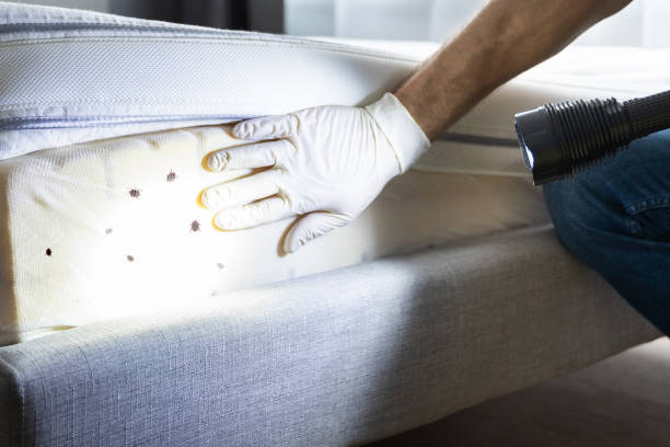 Best Residential Pest Control  in Winchester, MO