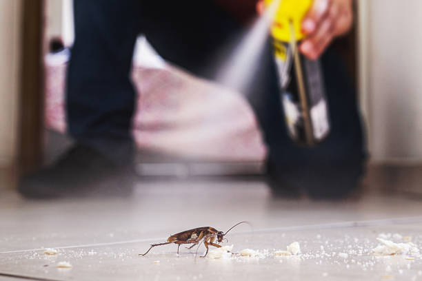 Best Pest Inspection Near Me  in Winchester, MO