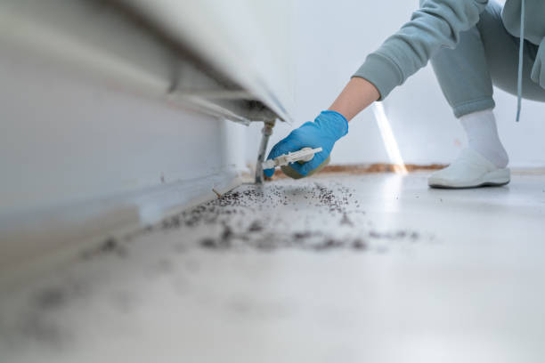 Pest Control for Restaurants in Winchester, MO