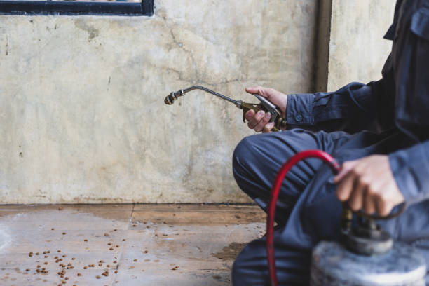 Best Pest Control for Restaurants  in Winchester, MO